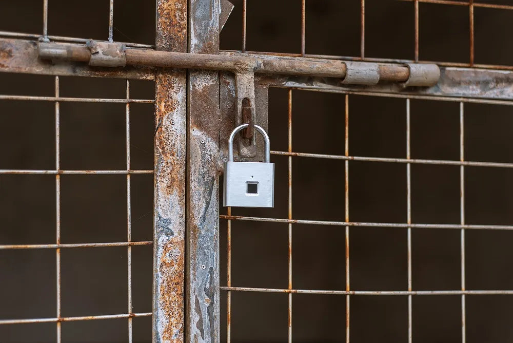 Fingerprint Lock Smart Padlock